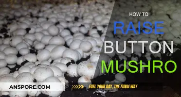 The Ultimate Guide: Raising Button Mushrooms at Home