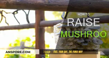 The Ultimate Guide to Raising Mushrooms at Home