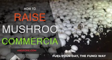 The Commercial Mushroom Farming Guide