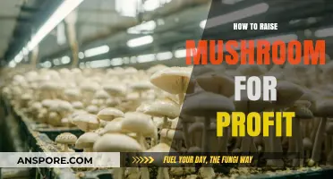 Profitable Mushroom Farming: A Step-by-Step Guide to Growing for Income