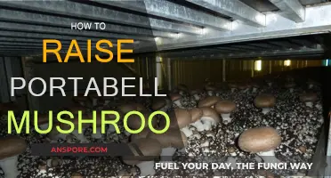 The Ultimate Guide to Growing Portabella Mushrooms at Home