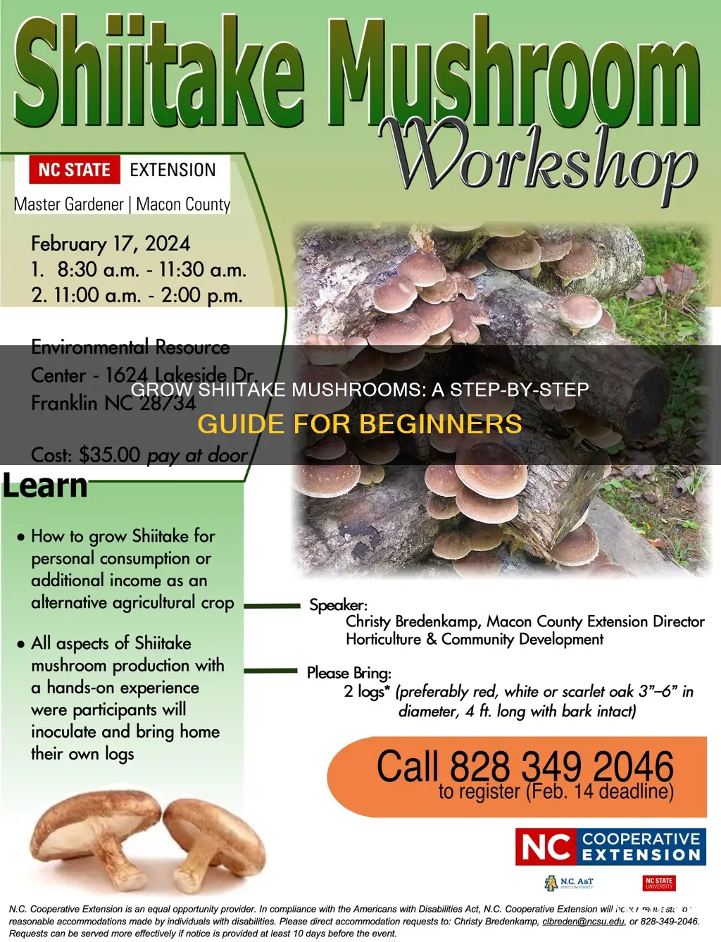 how to raise shiitake mushrooms