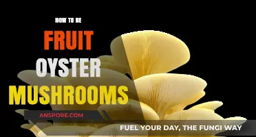 Revive Your Oyster Mushroom Harvest: Simple Re-Fruiting Techniques