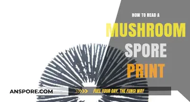 Mastering Mushroom Identification: A Step-by-Step Guide to Reading Spore Prints