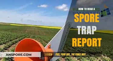 Understanding Spore Trap Reports: A Comprehensive Guide to Accurate Interpretation