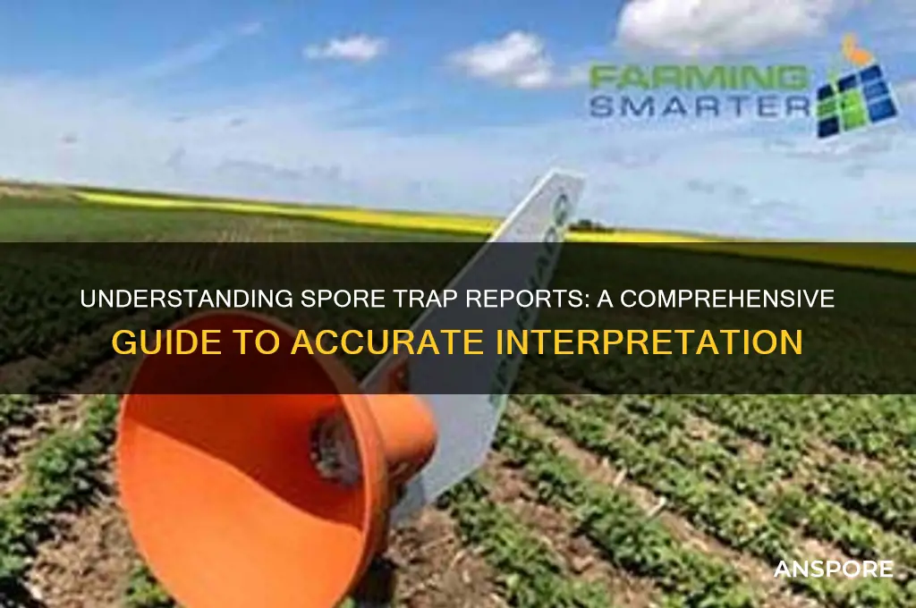 how to read a spore trap report