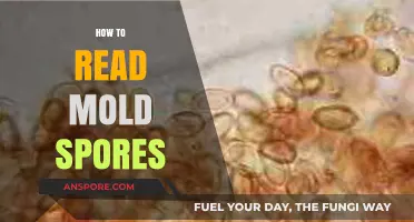 Mastering Mold Detection: A Guide to Reading Mold Spores