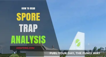 Mastering Spore Trap Analysis: A Step-by-Step Guide to Accurate Interpretation
