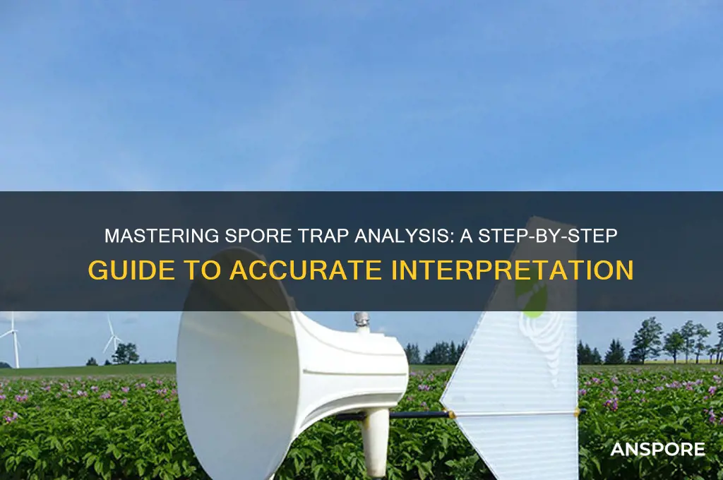 how to read spore trap analysis