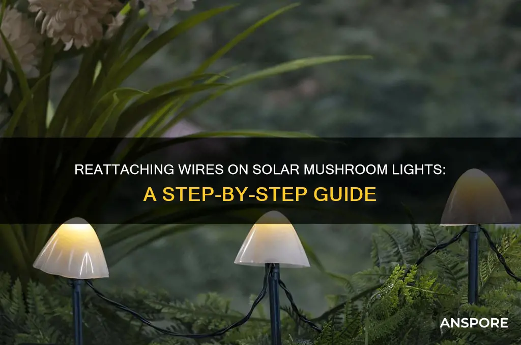 how to reattach wires on solar mushroom lights