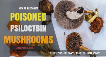Identifying Toxic Look-Alikes: Safely Recognizing Poisoned Psilocybin Mushrooms