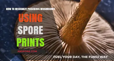 Identifying Deadly Mushrooms: A Guide to Spore Prints for Safety