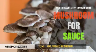 Revive Porcini Mushrooms: Perfect Reconstitution for Rich, Flavorful Sauces
