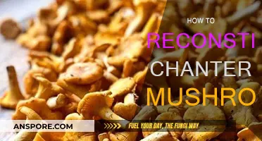 Reconstituting Chanterelles: A Simple Guide to Rehydrating Mushrooms