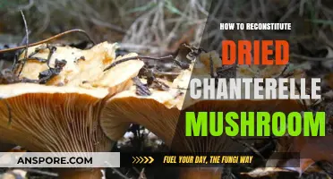 Reviving Chanterelle Flavor: A Guide to Reconstituting Dried Mushrooms