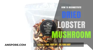 Reviving Flavor: Mastering the Art of Reconstituting Dried Lobster Mushrooms