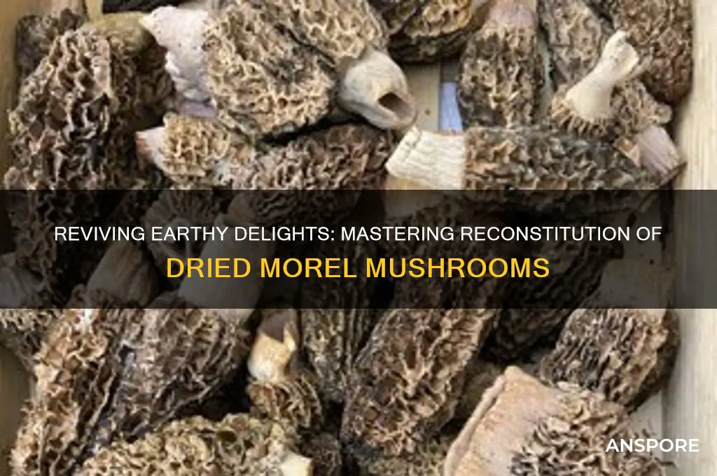 how to reconstitute dried morel mushrooms