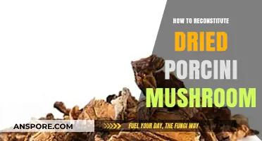 Revive Your Porcini: A Simple Guide to Reconstituting Dried Mushrooms