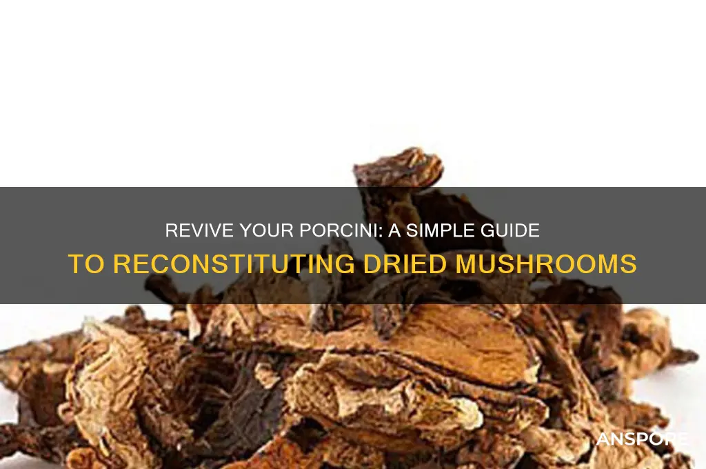 how to reconstitute dried porcini mushrooms