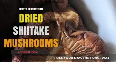 Revive Your Dried Shiitake Mushrooms: Simple Reconstitution Tips and Tricks