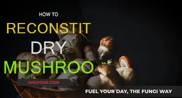 Reconstituting Dry Mushrooms: A Simple Guide to Success