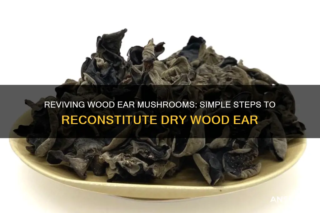 how to reconstitute dry woodear mushroom