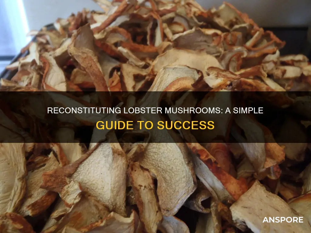 how to reconstitute lobster mushrooms