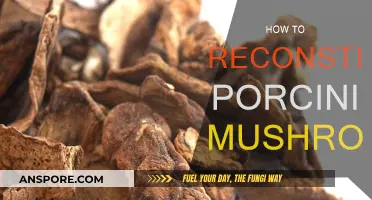 Reconstituting Porcini Mushrooms: A Simple Guide to Deliciousness