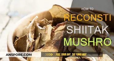 Reconstituting Shiitake Mushrooms: A Quick Guide