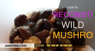 Reconstituting Wild Mushrooms: A Step-by-Step Guide