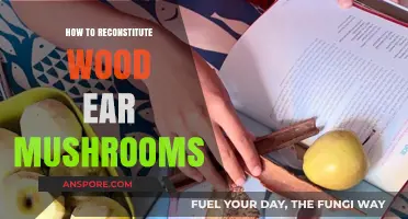 Reviving Wood Ear Mushrooms: Simple Steps to Reconstitute Perfectly