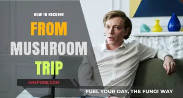 Navigating the Aftermath: Effective Strategies to Recover from a Mushroom Trip