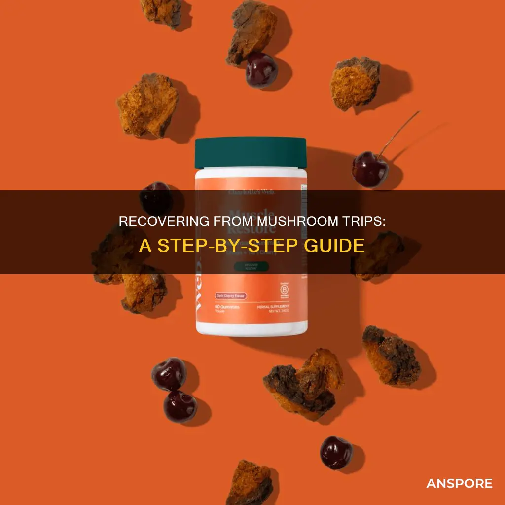 how to recover from mushrooms
