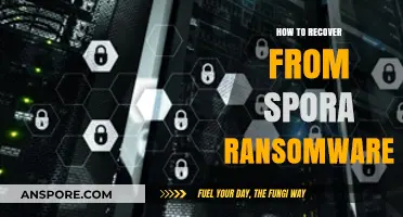 Effective Strategies to Recover from Spora Ransomware Attacks Safely
