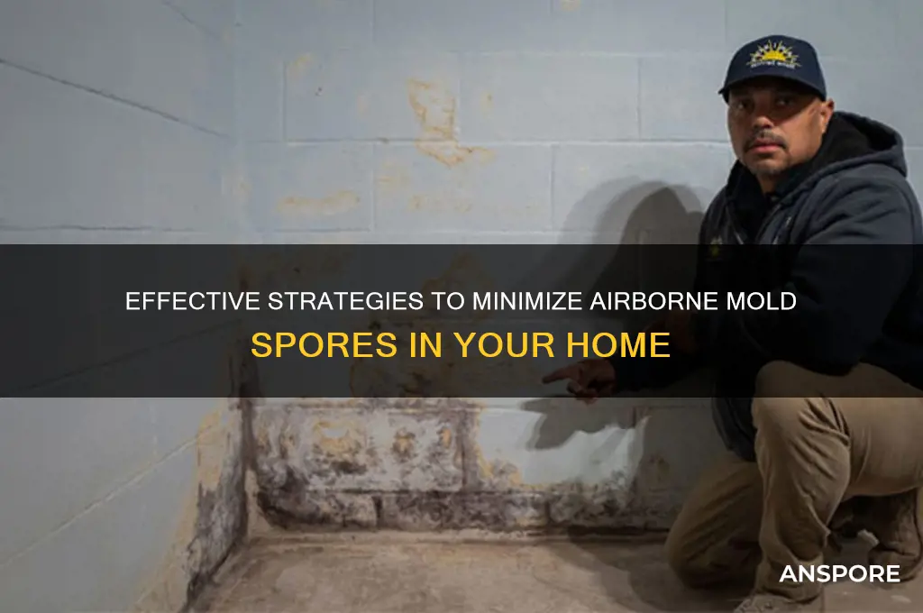 how to reduce mold spores in the air