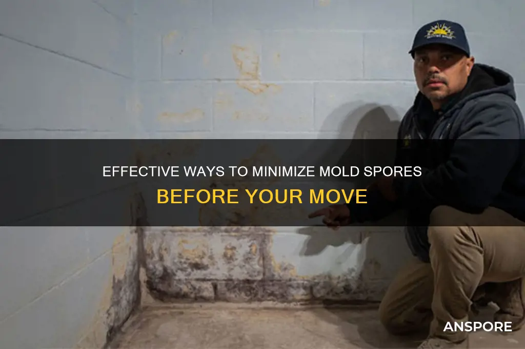 how to reduce mold spores until i can move