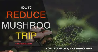 Calm Your Mushroom Trip: Effective Strategies to Reduce Intensity