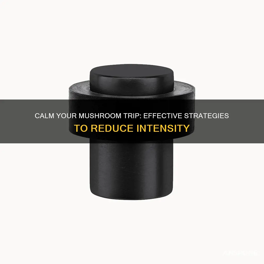 how to reduce mushroom trip