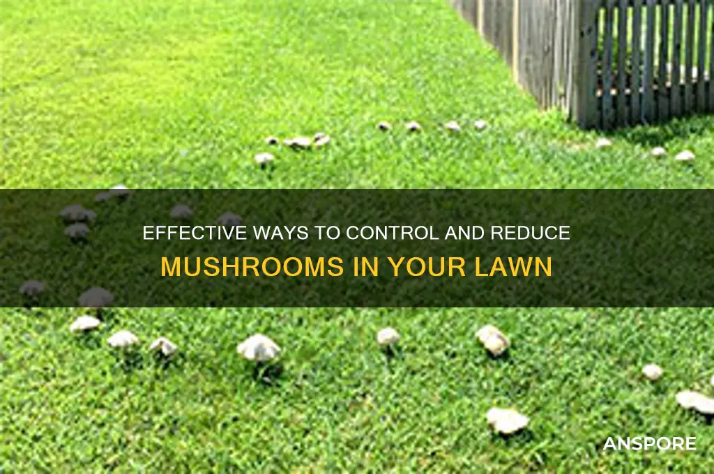 how to reduce mushrooms in lawn