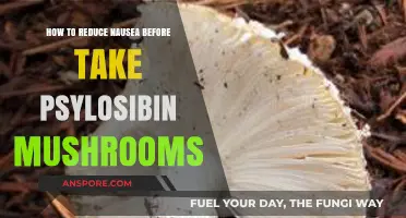 Ease Your Stomach: Tips to Reduce Nausea Before Psilocybin Use