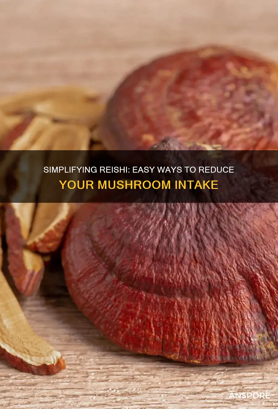 how to reduce reishi mushrooms