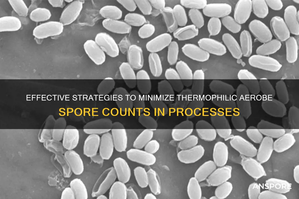 how to reduce spore count in thermophilic aerobe
