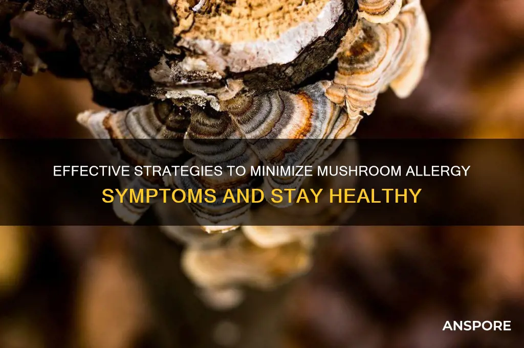 how to reduce symptoms of mushroom allergy