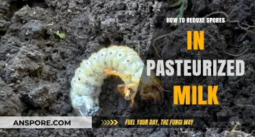 Effective Strategies to Minimize Spores in Pasteurized Milk Production