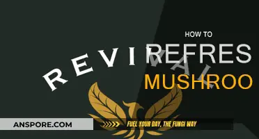 The Magic of Refreshing Mushrooms: A Simple Guide