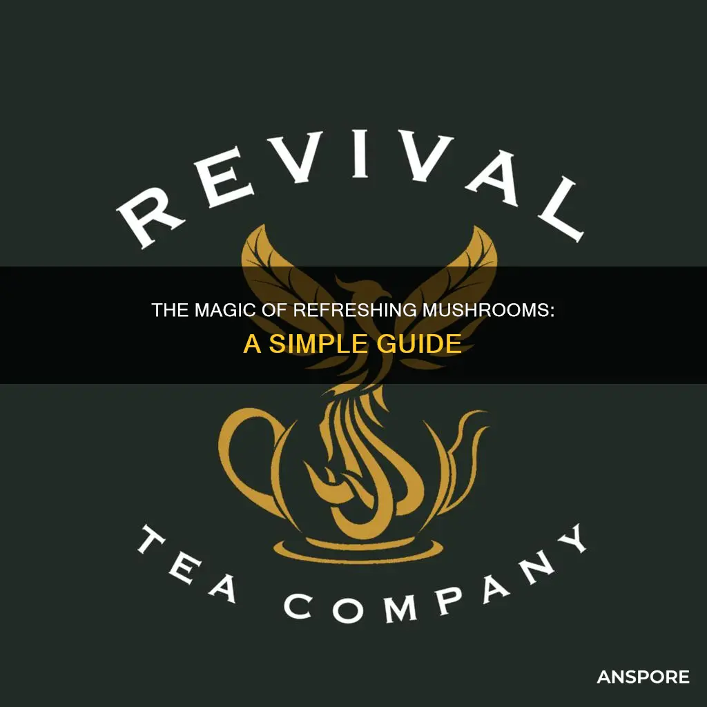 how to refresh mushrooms