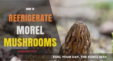 Properly Refrigerating Morel Mushrooms: Tips for Freshness and Flavor Preservation
