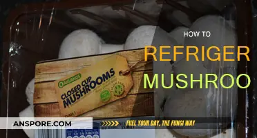 Best Way to Refrigerate Mushrooms