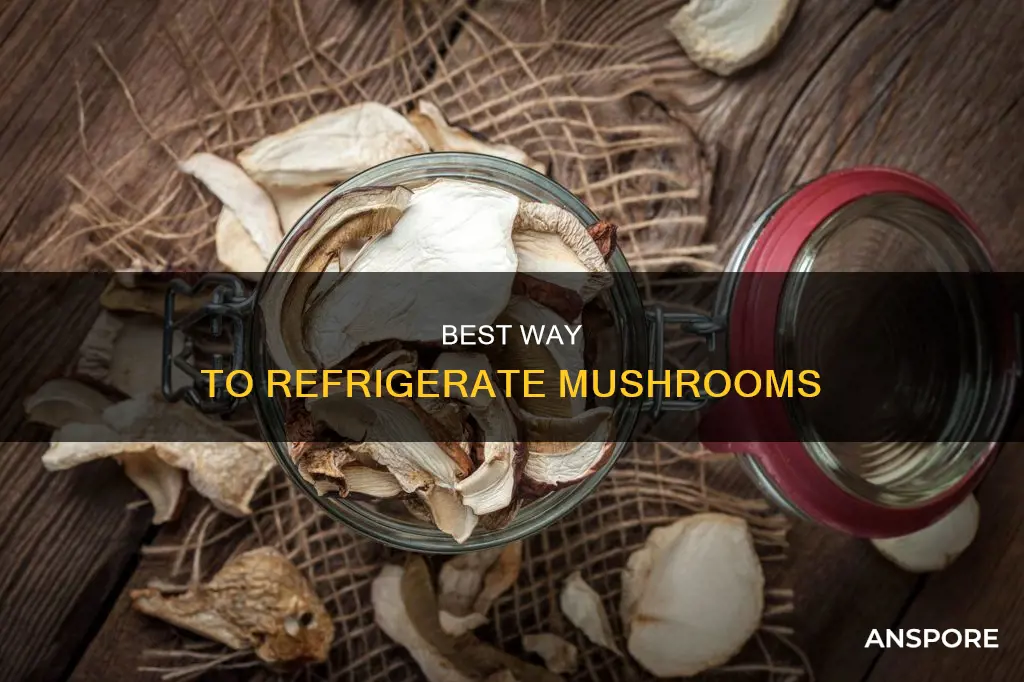 how to refrigerate mushrooms