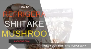 The Best Way to Refrigerate Shiitake Mushrooms